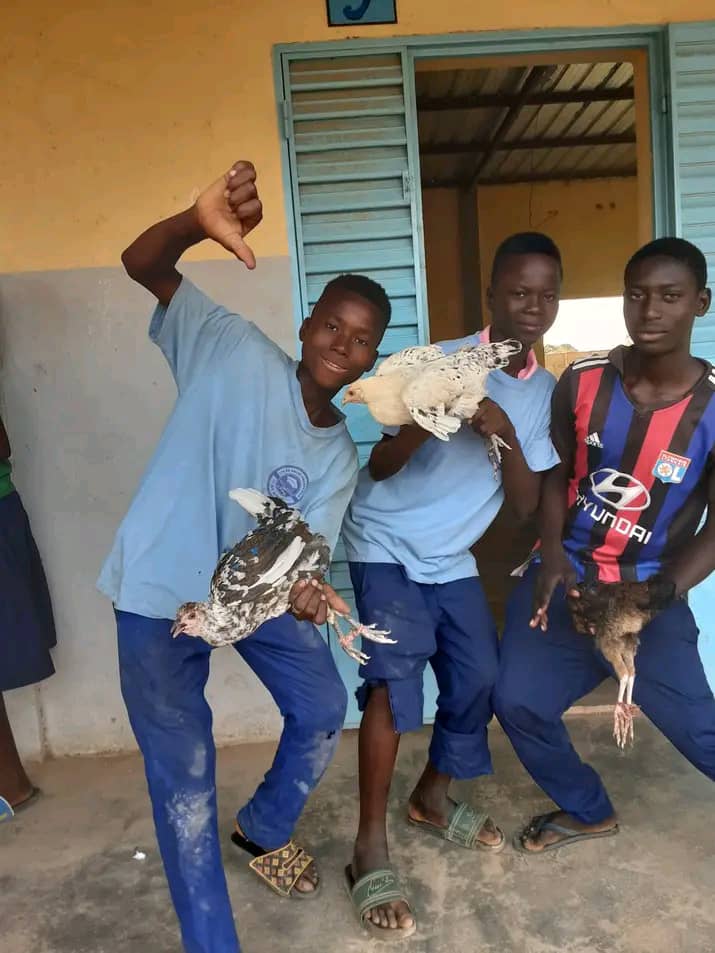 Projet Un élève, une poule